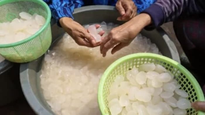 Tradisi Tahunan, Kolang-Kaling Jadi Komoditas Favorit Saat Bulan Ramadan